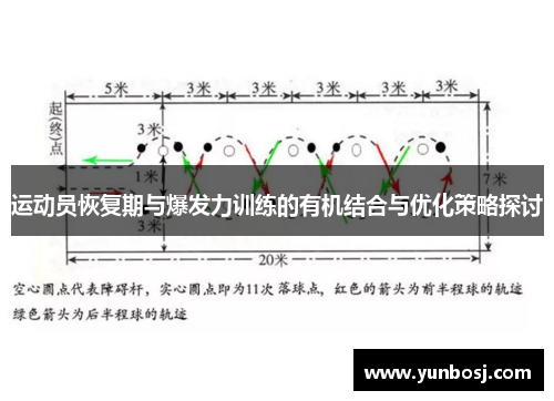 运动员恢复期与爆发力训练的有机结合与优化策略探讨
