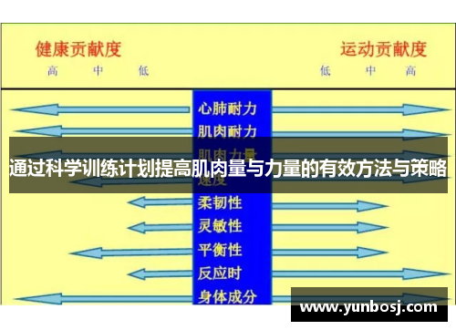 通过科学训练计划提高肌肉量与力量的有效方法与策略