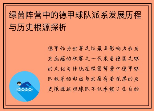 绿茵阵营中的德甲球队派系发展历程与历史根源探析