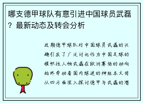 哪支德甲球队有意引进中国球员武磊？最新动态及转会分析
